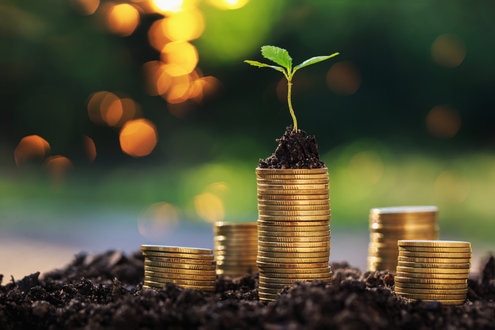 Investment ideas for success coins and small plant